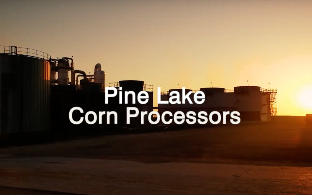 Pine Lake Corn Processors