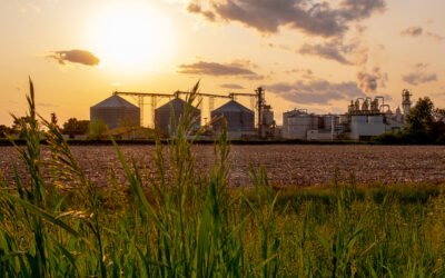 Making More with Less