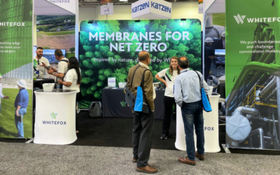 Whitefox Reflects on Q2 2024