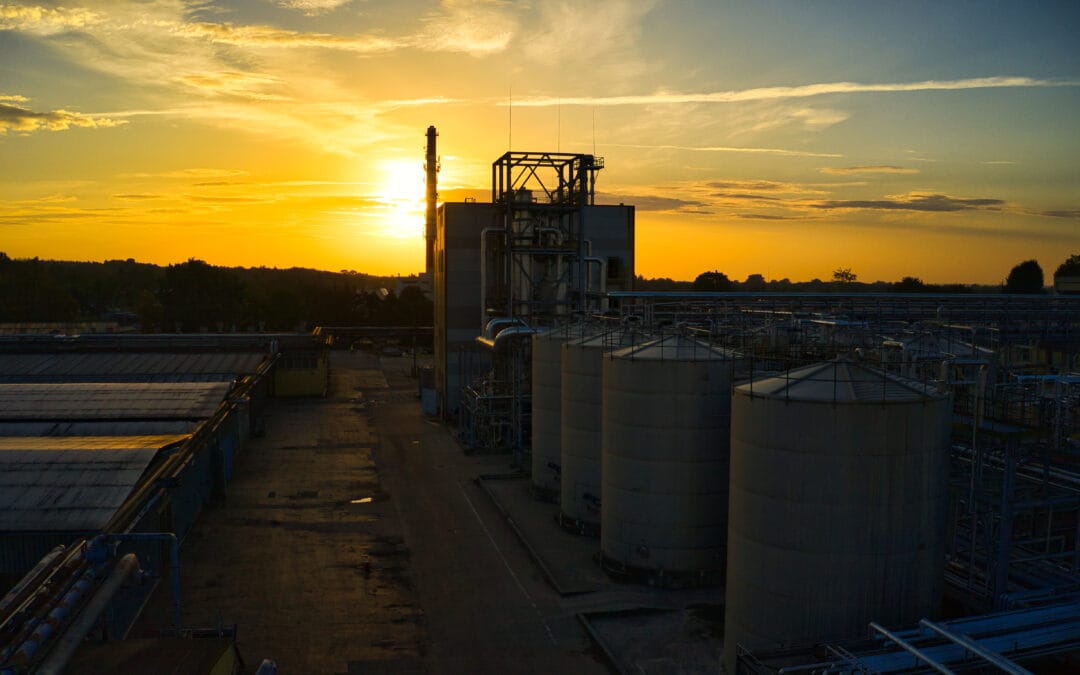 Whitefox Reflects on Q3 2024