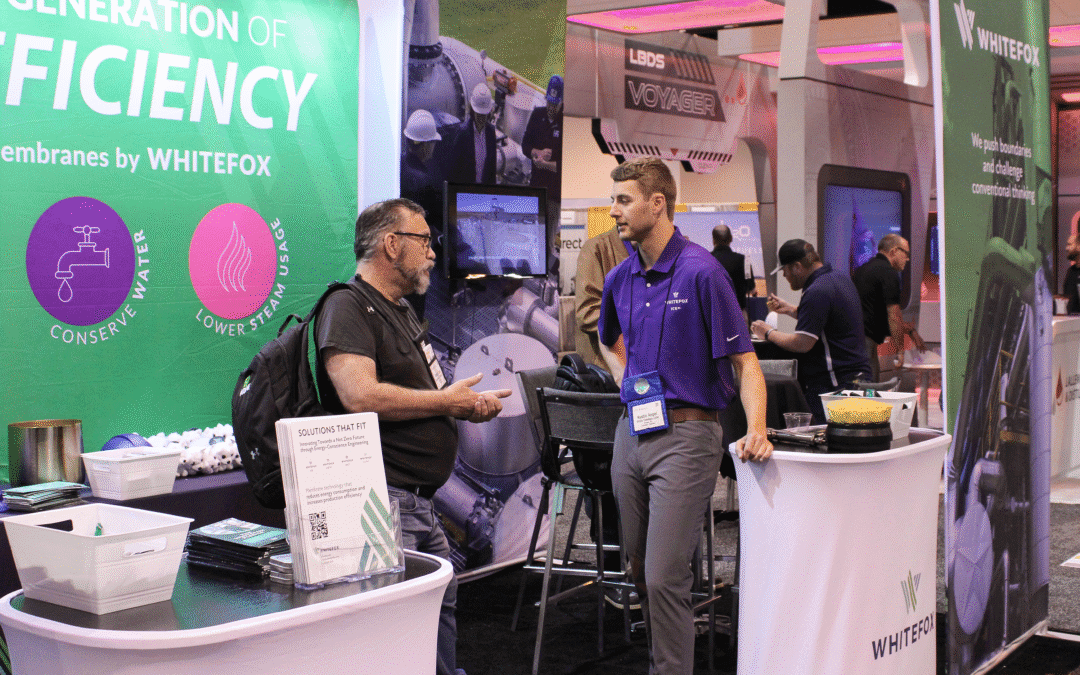 Whitefox Reflects on Q2 2025